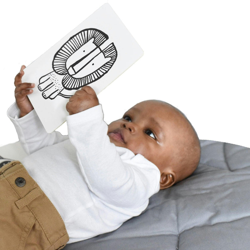 Developmental Bundle for Baby - Safari