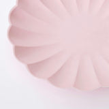 Small Candy Pink Compostable Plates - Big Multipack