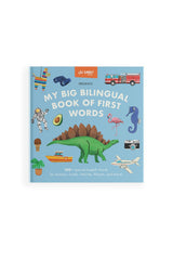 My Big Bilingual Book of First Words