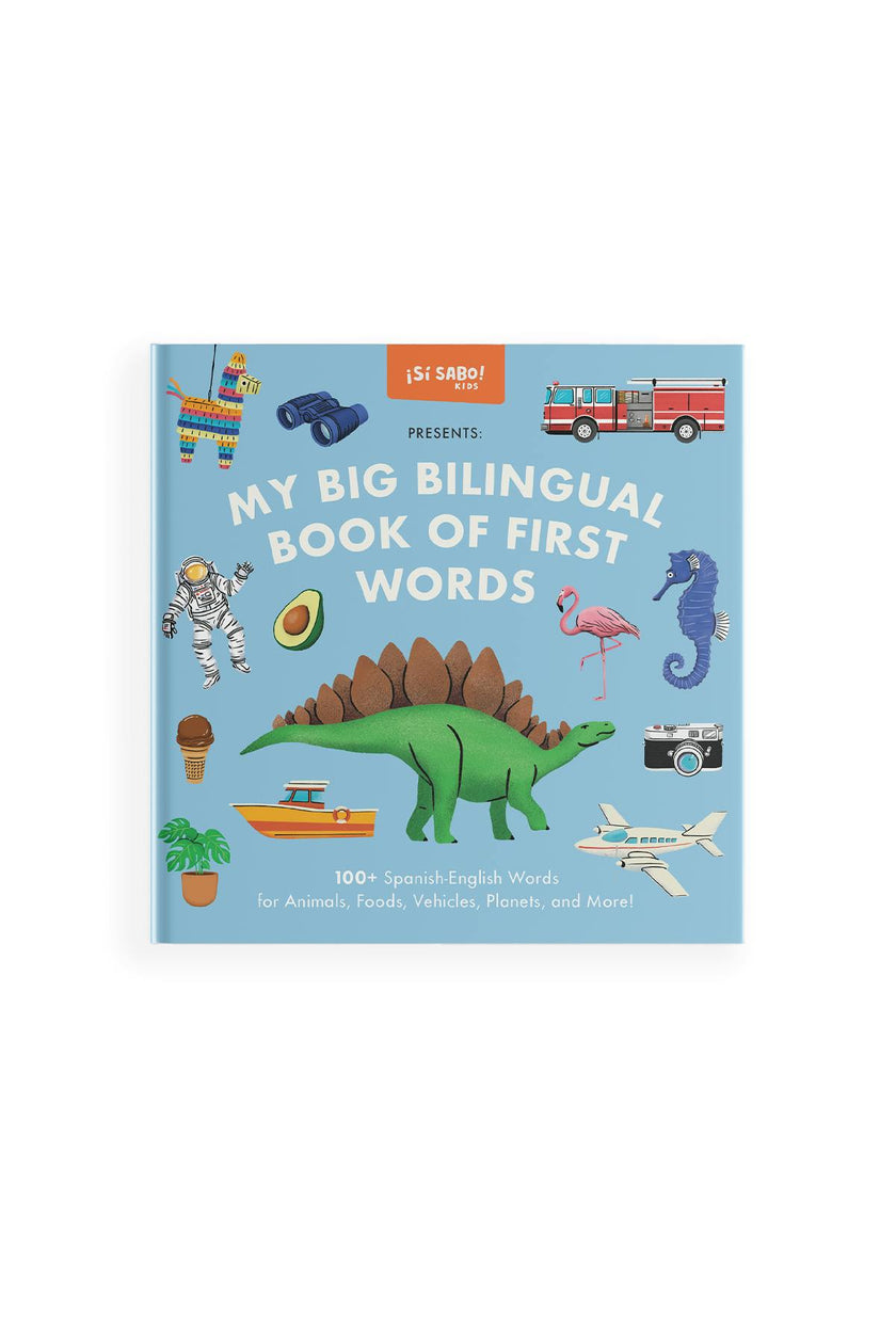 My Big Bilingual Book of First Words