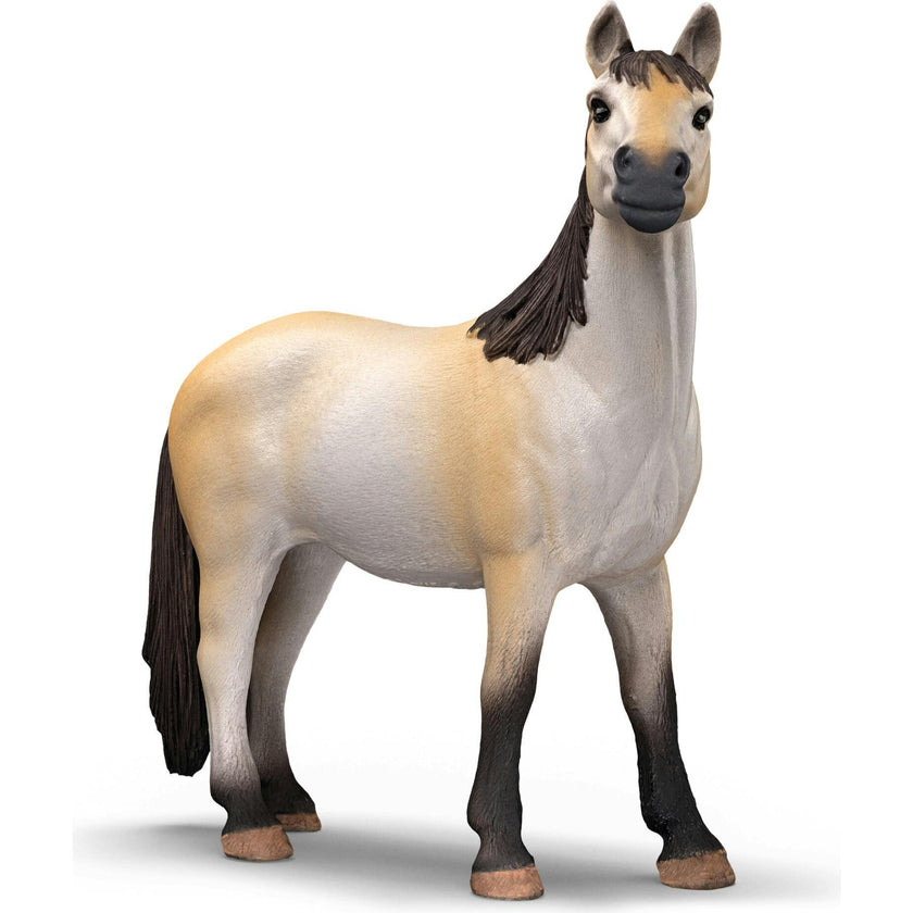 Farm World: Ponybox & Mustang Mare