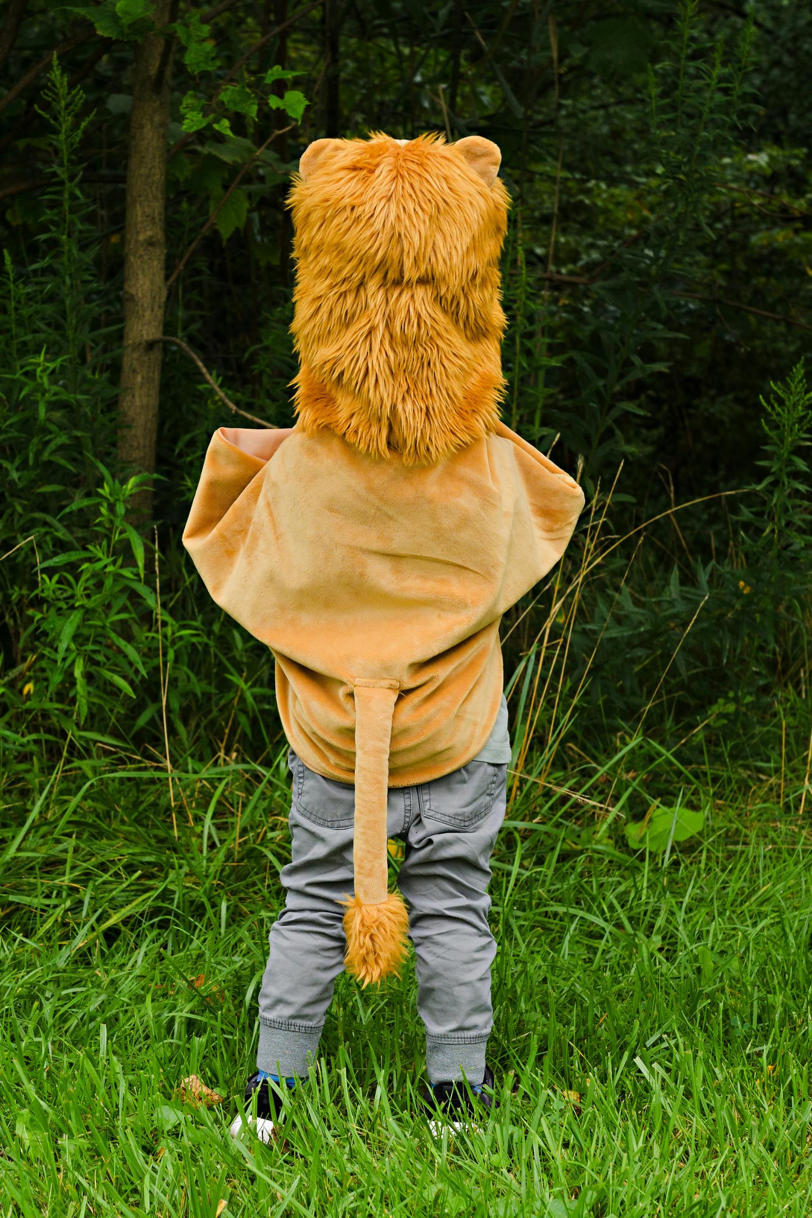 Great Pretenders Storybook Cape Size