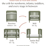 Pogo 8-In-1 Convertible Crib With All-Stages Conversion Kits
