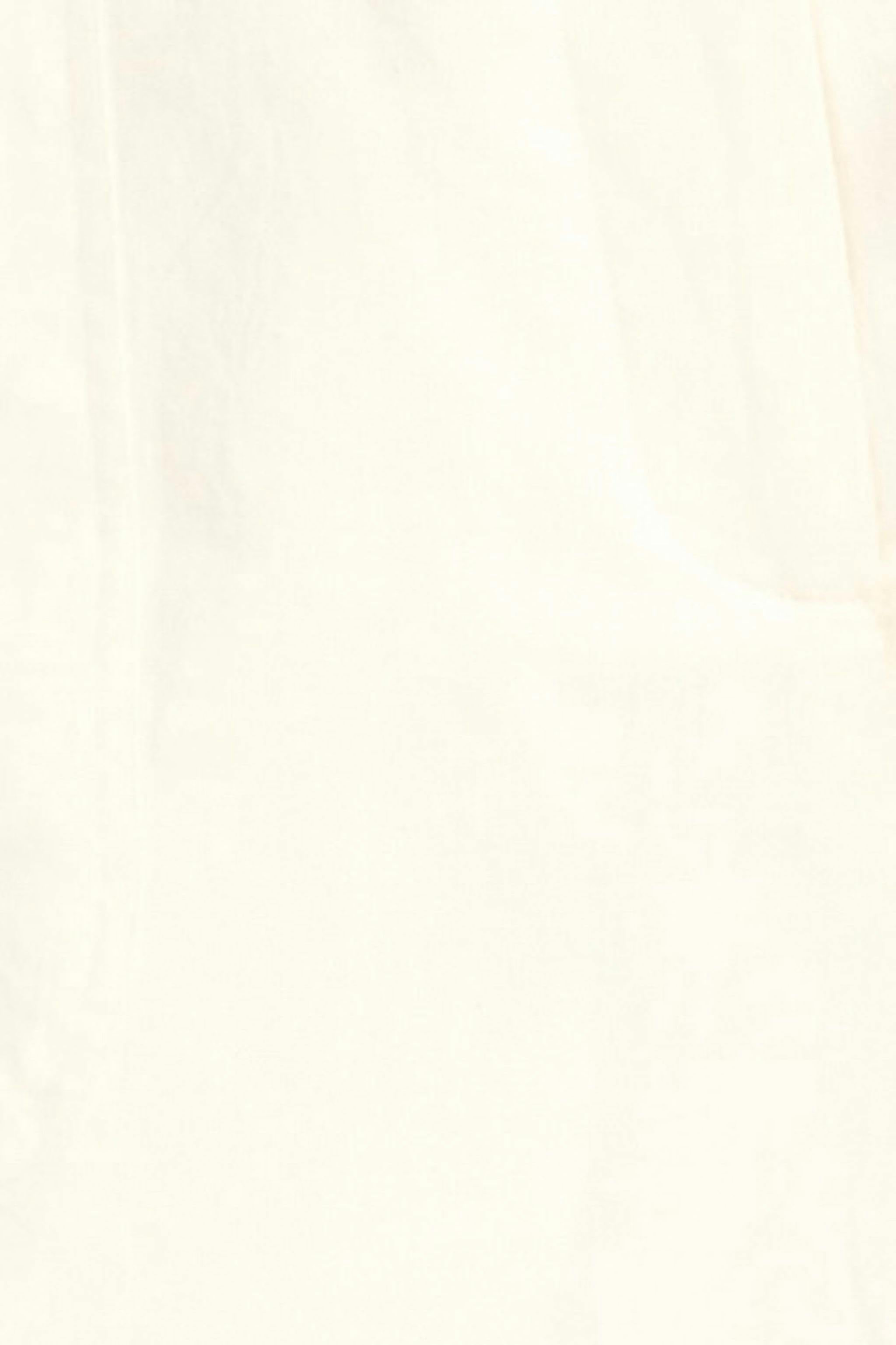 Bermuda Short in White