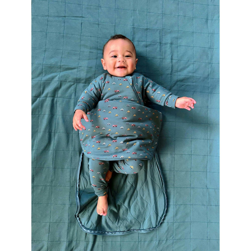 Long Sleeve Transitional Swaddle