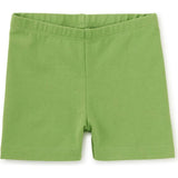 Somersault Shorts, Green