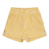 Canary Stripe Mini Boardshort