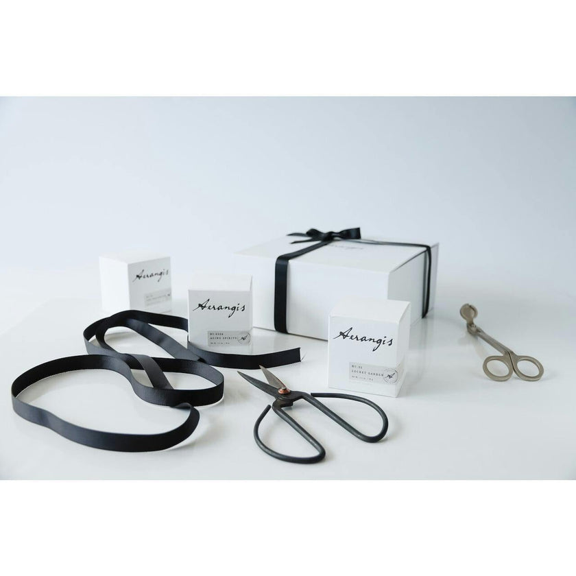 Discovery Journey Gift Set