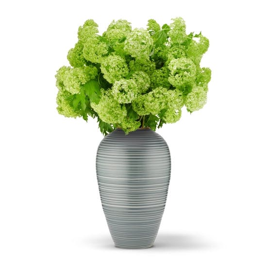 Calinda Tapered Vase