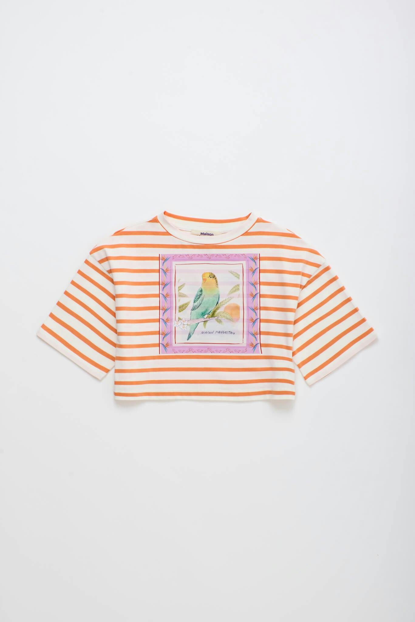 BIRDS STRIPED CROP TOP MANDARIN /WHITE