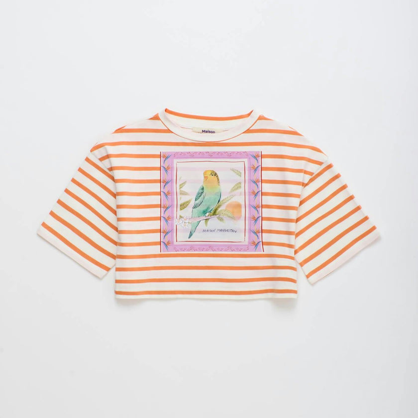 BIRDS STRIPED CROP TOP MANDARIN /WHITE