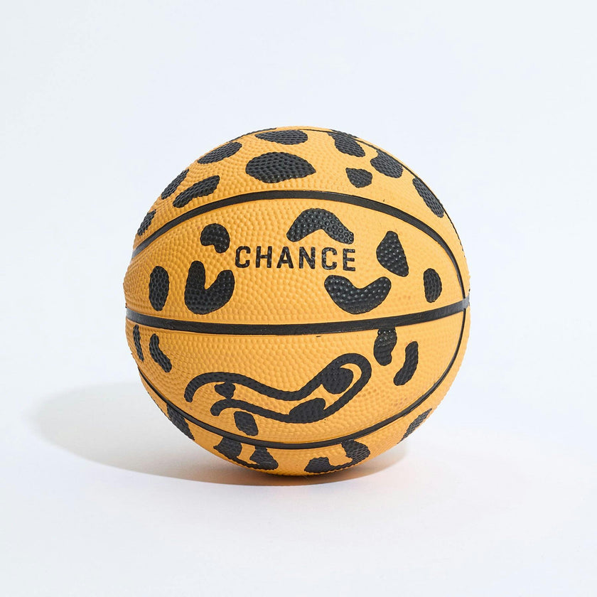 Chester Mini Basketball