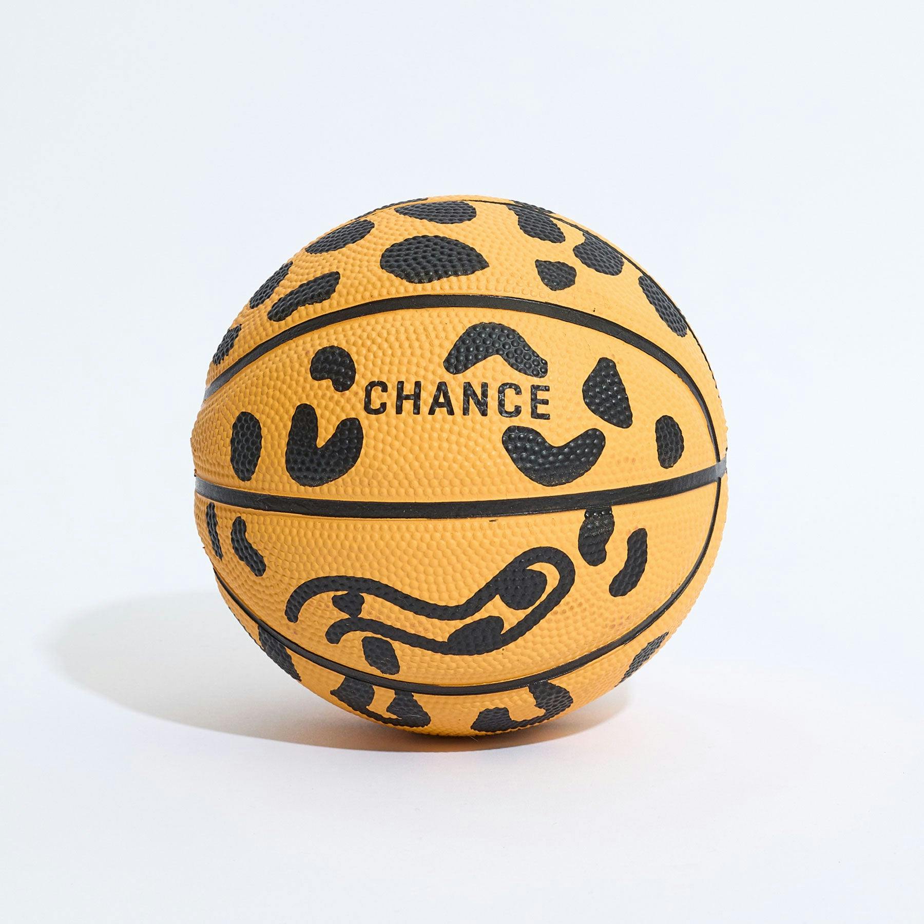 Chester Mini Basketball