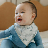 4 Pack Baby Bandana Bibs - Tatooine