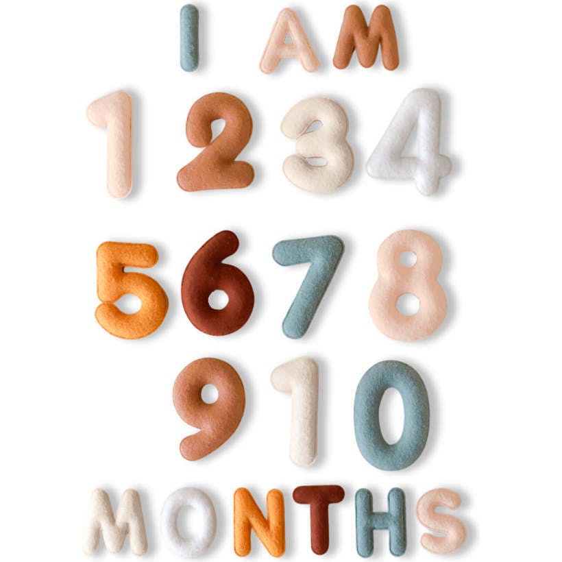 Milestone Felt Numbers in Neutral