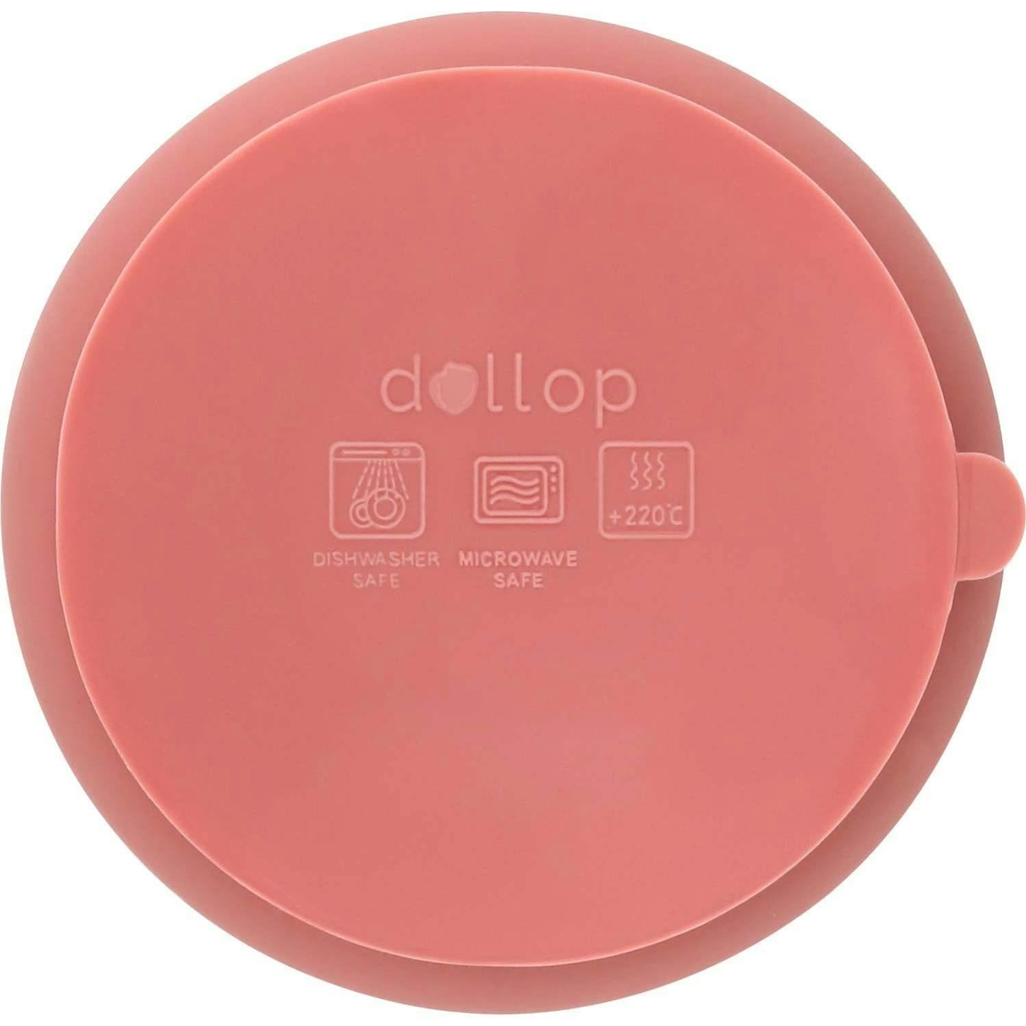 Silicone Suction Bowls