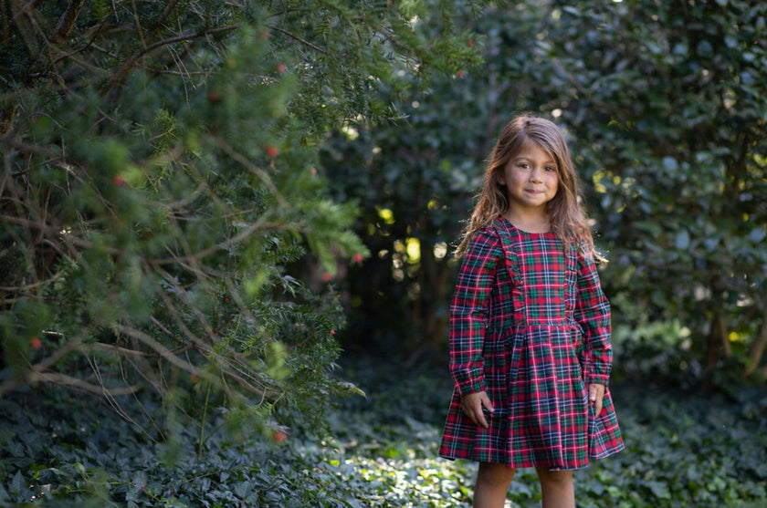 Long Sleeve Ruffle Dress in Plaid