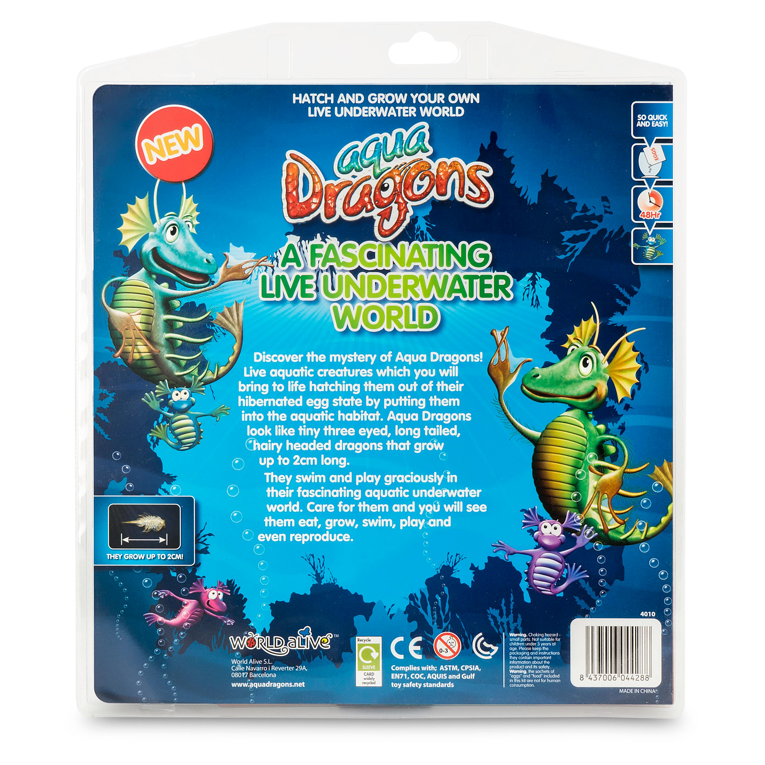 Aqua Dragons: A Fascinating Underwater World Book Kit