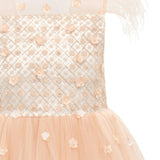 Pink Ayala Dress