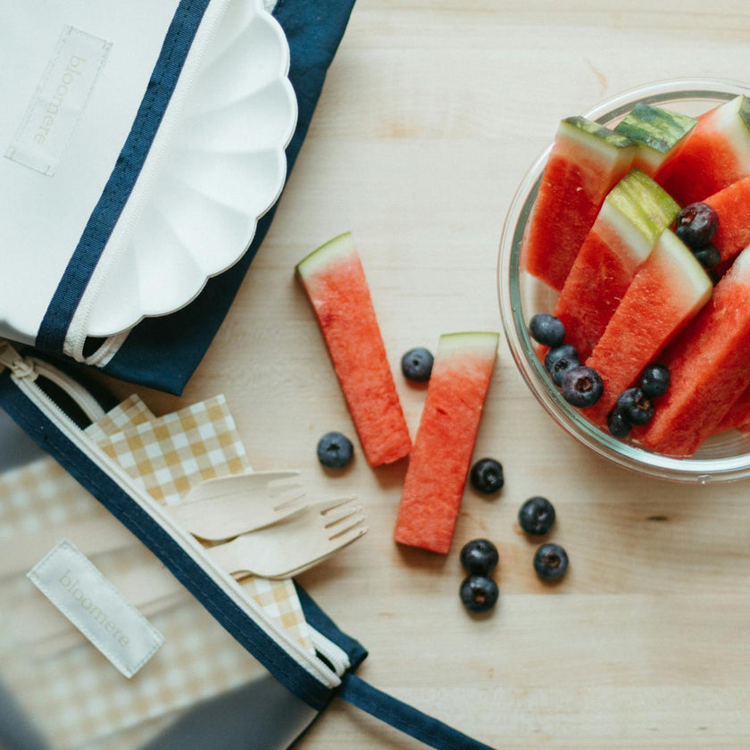 Small Pouch (Link Pink and Navy)