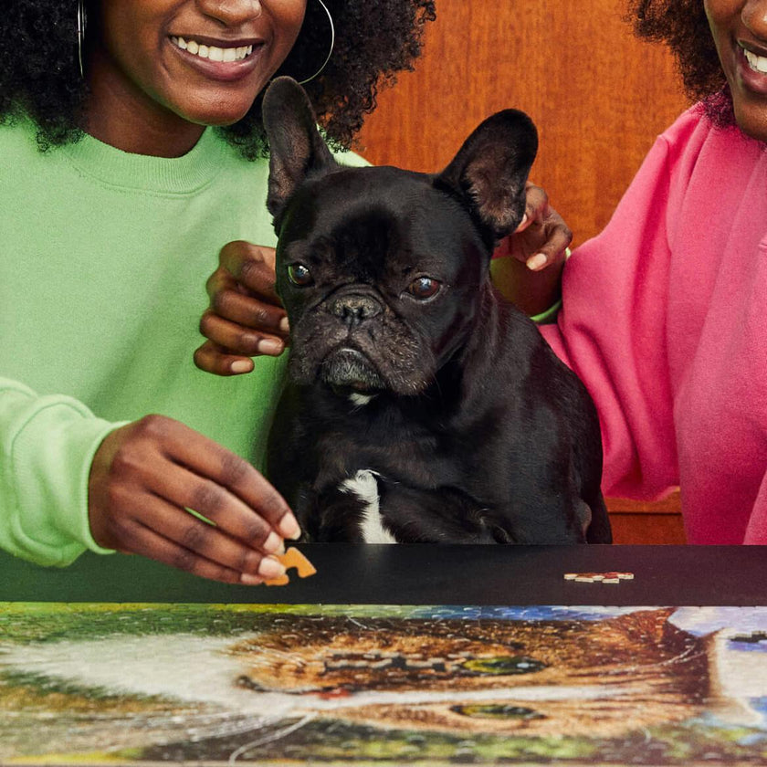 Howdy Paw-tner Puzzle