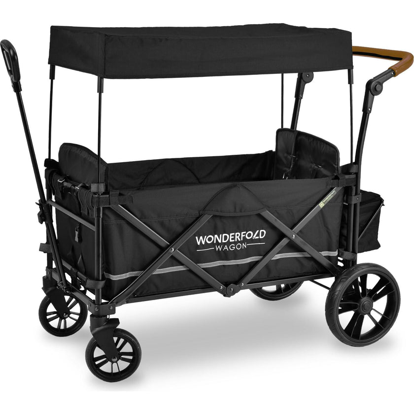 Pull & Push Double Stroller Wagon 2 Seater