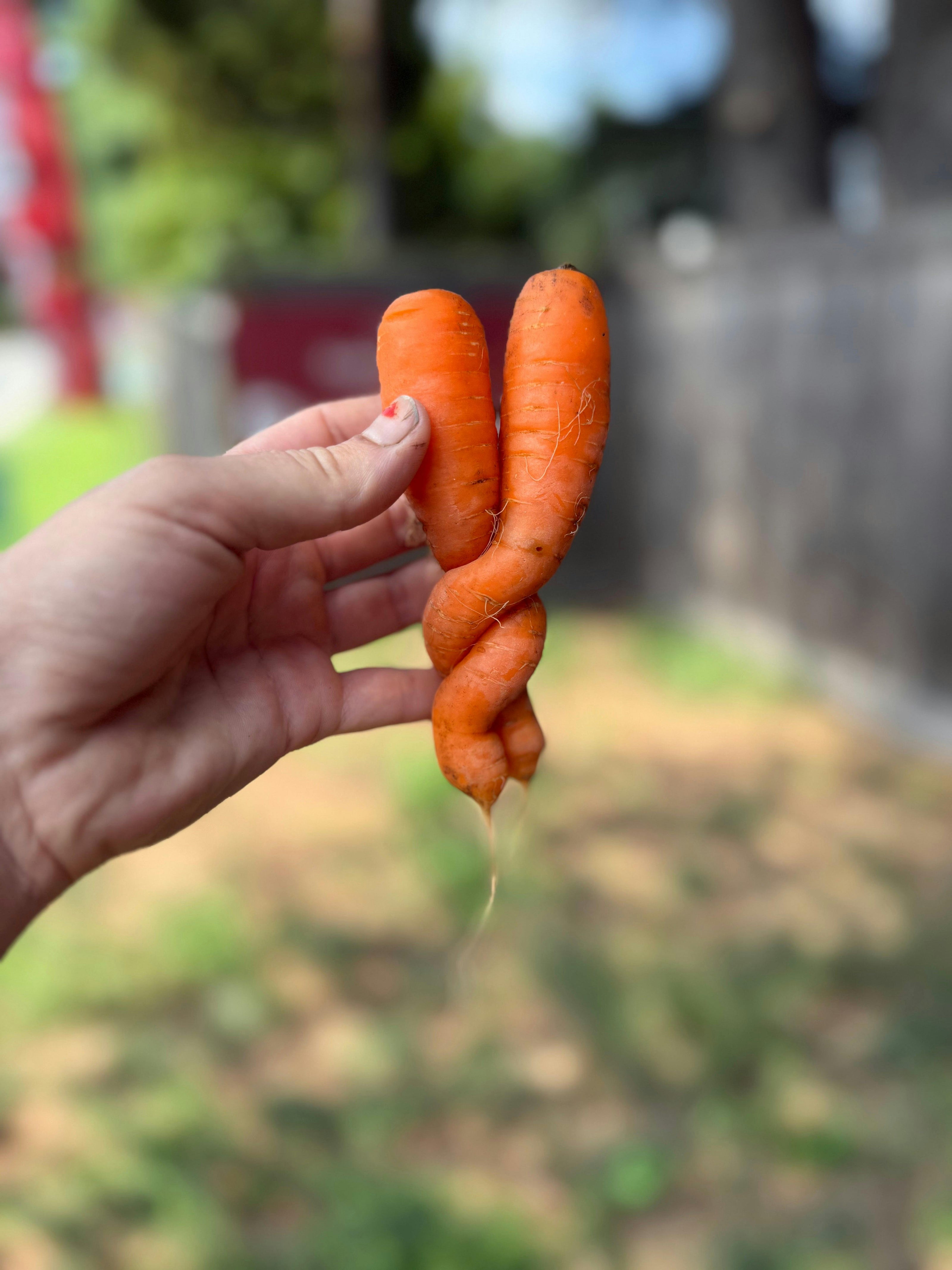 Love Conquers All - Carrot Lovers Tee