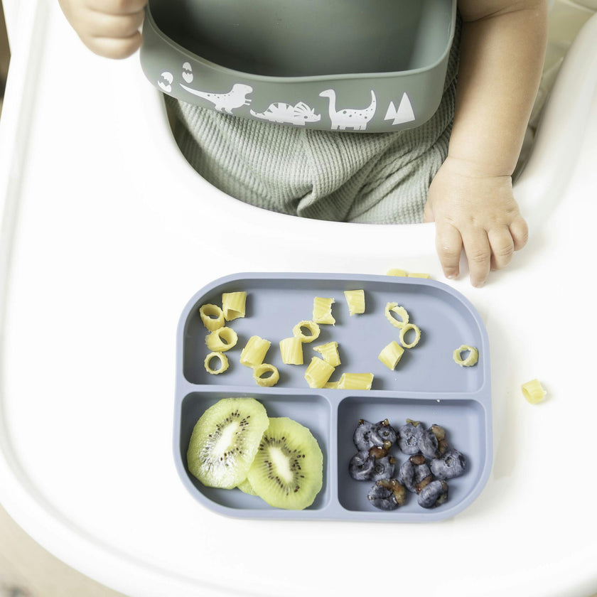 Dino Rawr Little Bites Narrow Bib