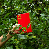 Flat Apple Puzzle