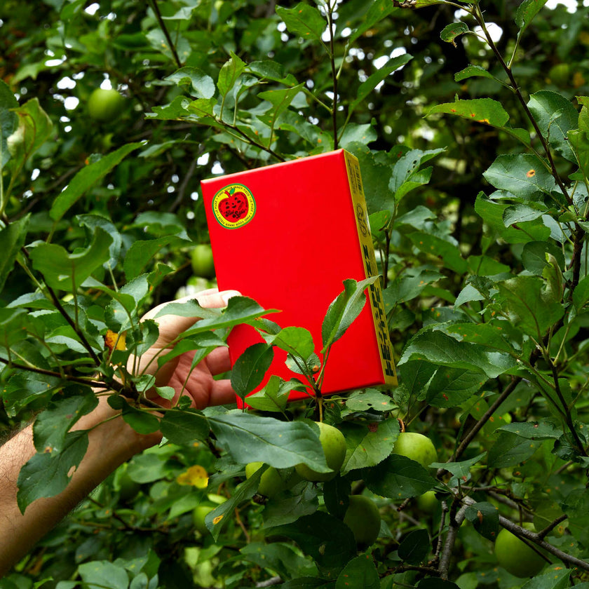 Flat Apple Puzzle