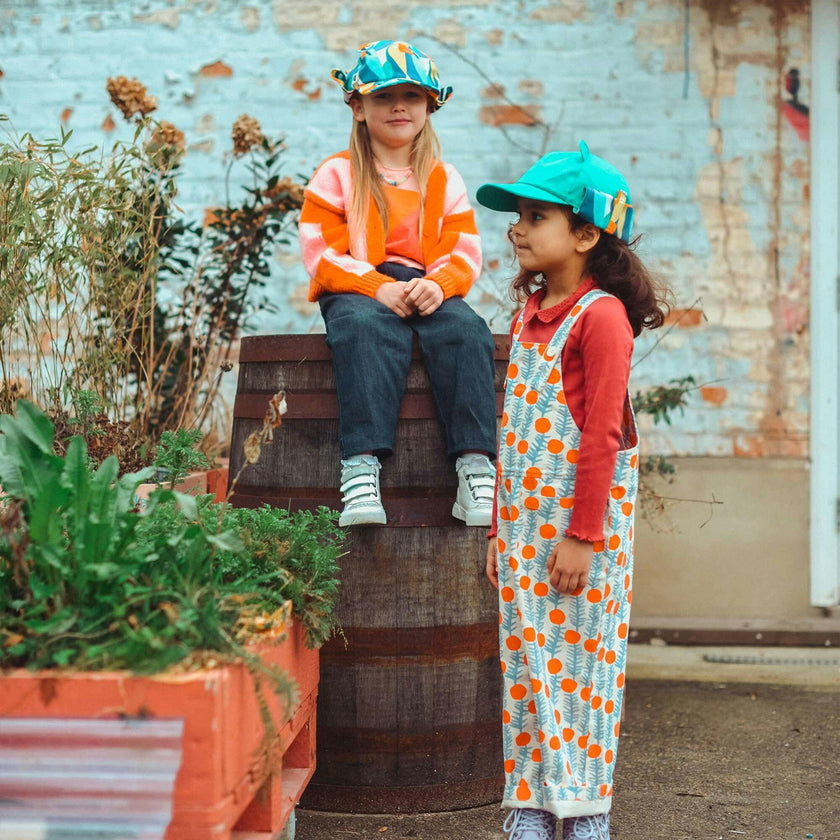 Cub Hat, Toucan