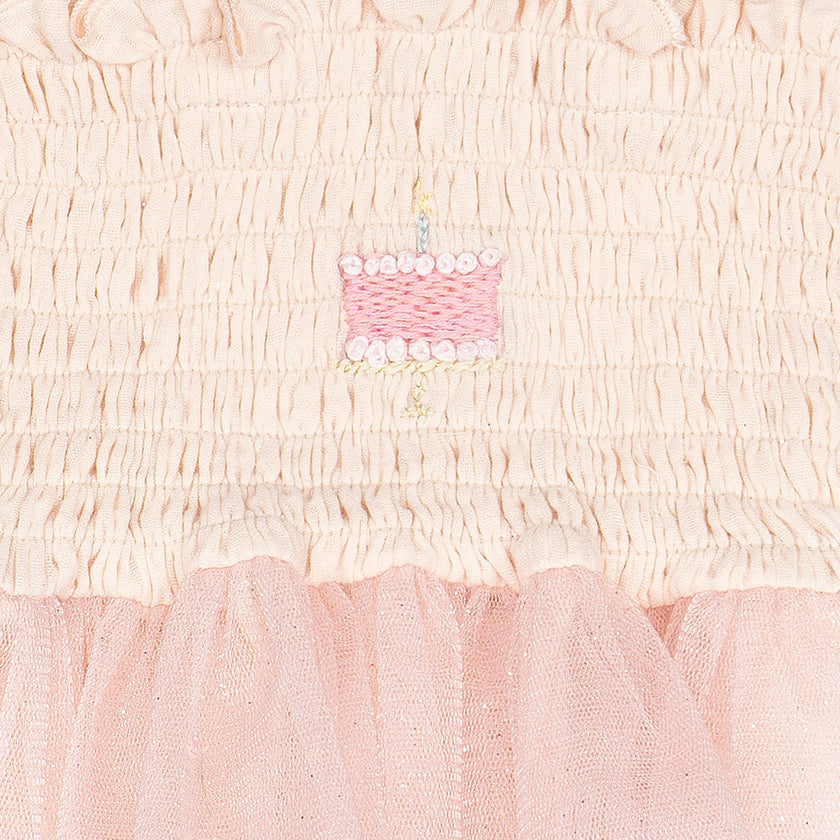 Birthday Cake Tutu in Pink