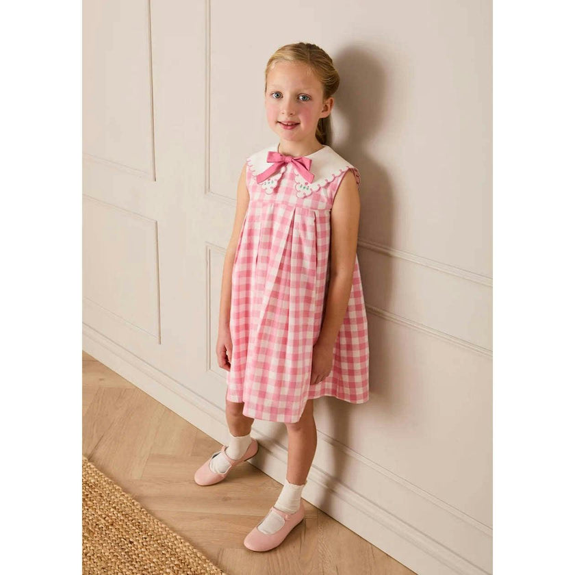 Catherine Gingham Embroidered Sleeveless Trapeze Dress in Pink (12mths- 10yrs)