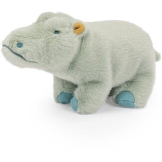 Small Hippopotamus - All Around The World