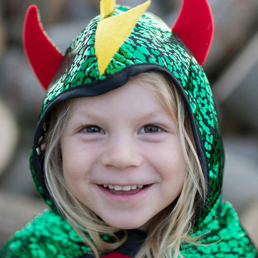 Dragon Knight Reversible Cape