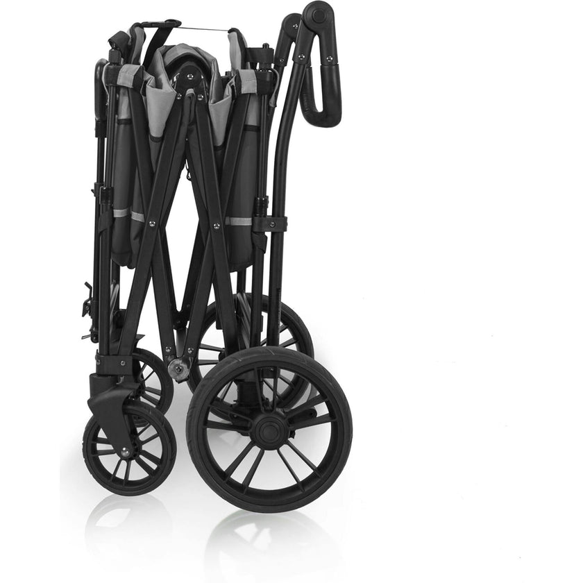 Pull & Push Double Stroller Wagon 2 Seater