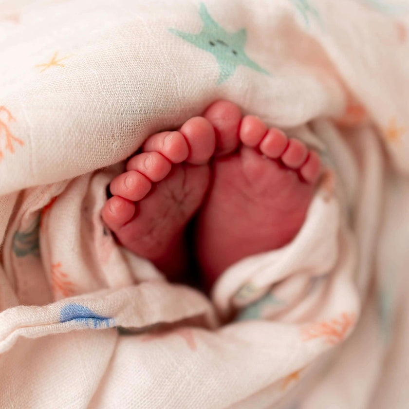 Starfish Swaddle
