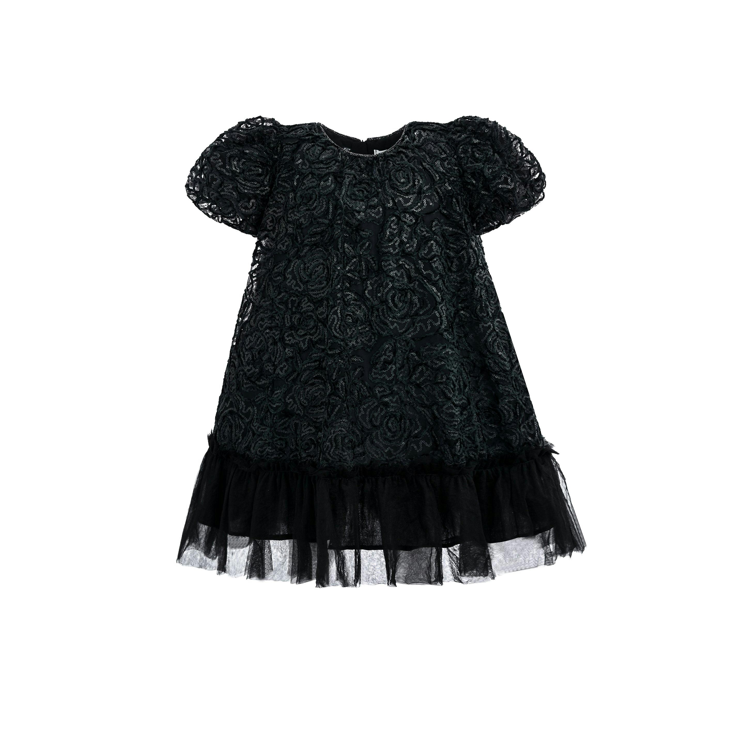 Black Embroidered Tulle Milan Dress