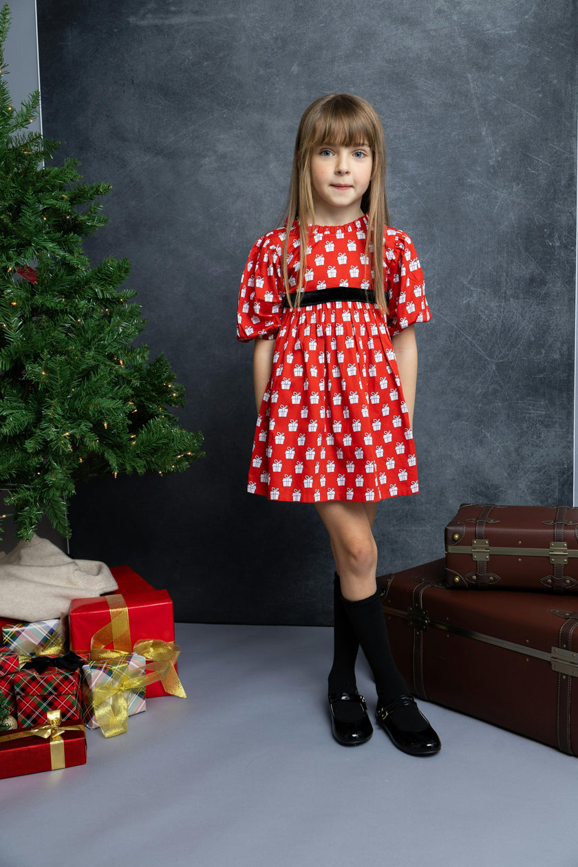 Holiday Presents Puff Sleeve Dress