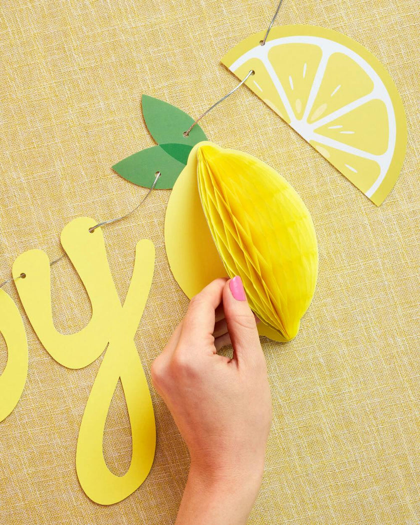 Happy Birthday Lemon Banner - lemon birthday banner