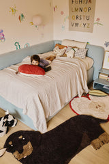 Washable Rug Jack the dog