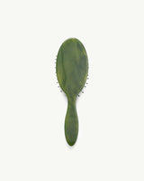 Travel Hair Brush in Algae