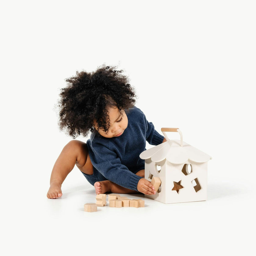 Shape Sorter