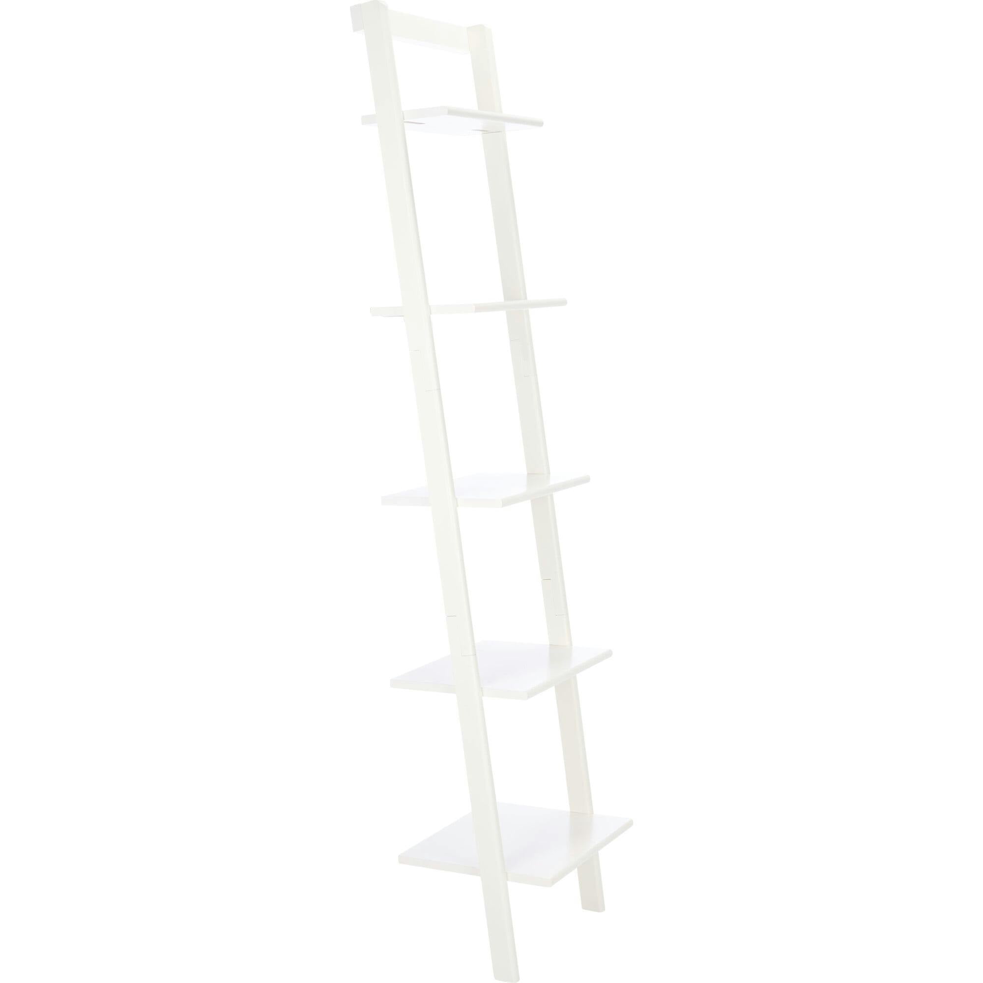 Allaire 5-Tier Leaning Etagère
