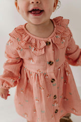 Baby Girl Ruffled Collar Dress Set in Mesa Rose Mushroom