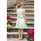 Camelia Mint Organza Sleeves Dress