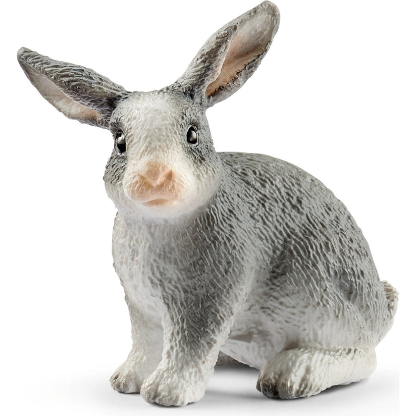 Schleich Farm World: Hutch Playset