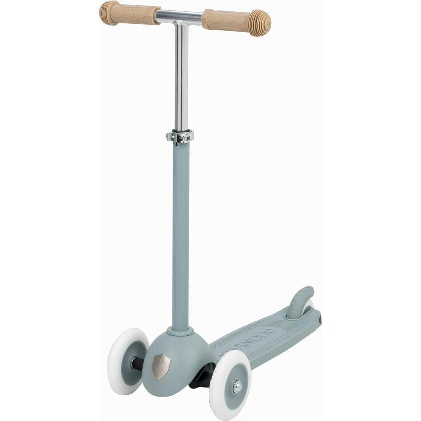 Eco Scooter
