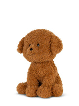 Stacy the Labradoodle in giftbox - 7"