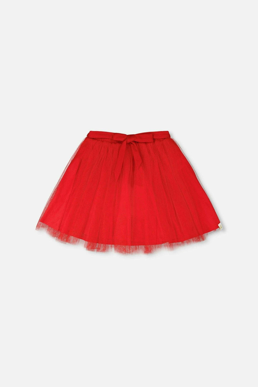 Mesh And Eyelet Skirt